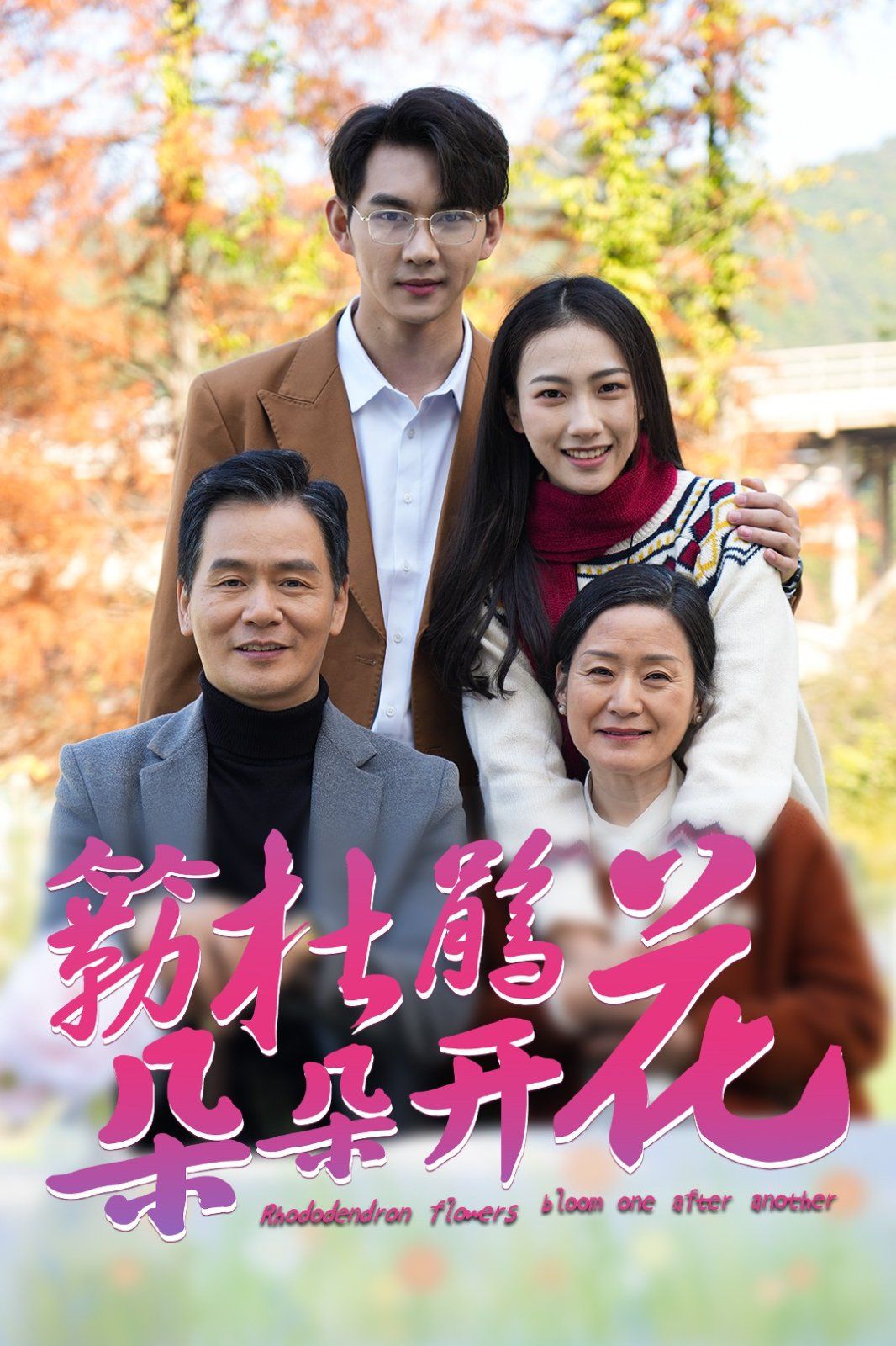 簕杜鹃花朵朵开 2025 短剧 海报