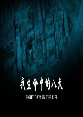 我生命中的八天 2010 电影 海报