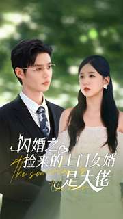 闪婚之捡来的上门女婿是大佬 2024 短剧 海报
