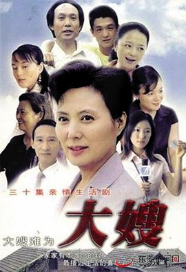 大嫂 2008 电视剧 海报