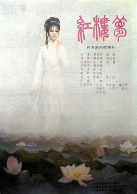 红楼梦第六部：宝玉化石 1989 电影 海报