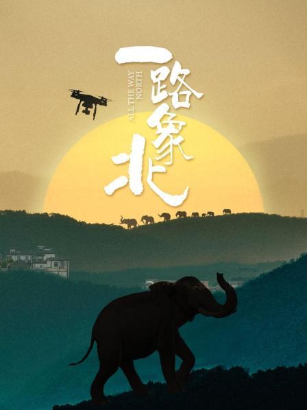 一路“象”北 2021 纪录片 海报