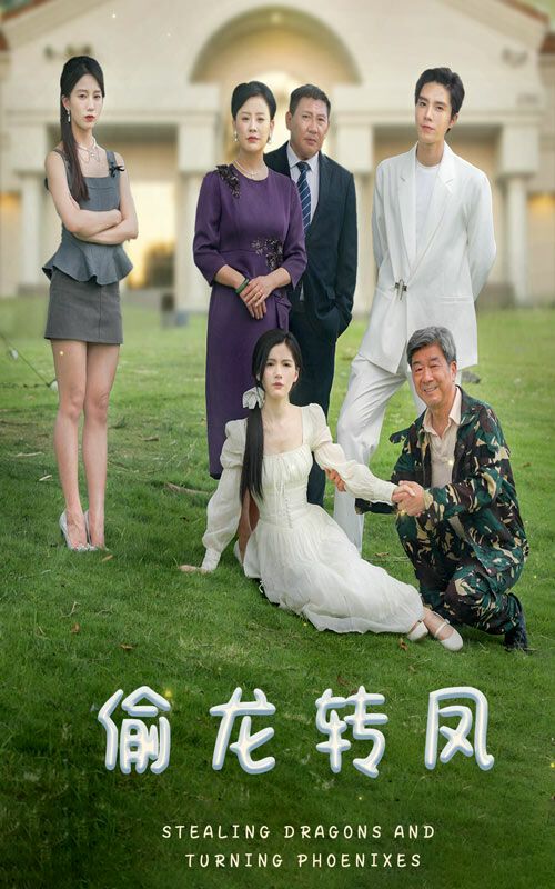 偷龙转凤 2024 短剧 海报