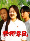 杨柳春风 2026 电影 海报