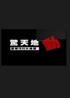惊天地动：直击汶川大地震 2008 纪录片 海报