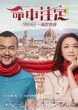 命中注定 2015 电影 海报