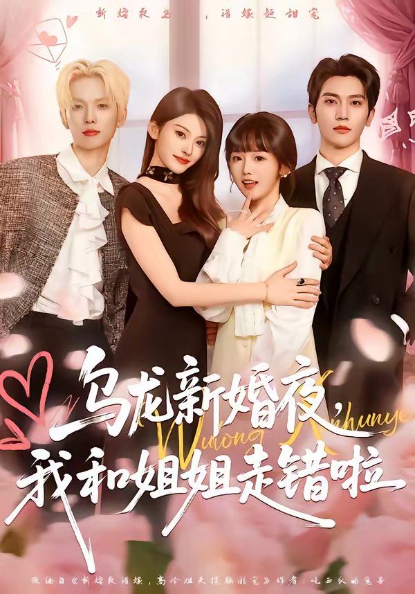 乌龙新婚夜，我和姐姐走错啦 2026 短剧 海报