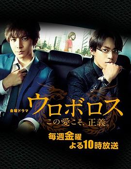 无间双龙：这份爱，才是正义 2015 电视剧 海报