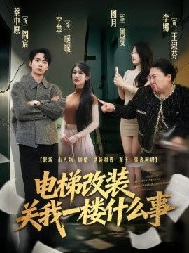 电梯改装关我一楼什么事 2026 短剧 海报