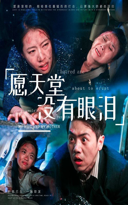 愿天堂没有眼泪 2024 短剧 海报