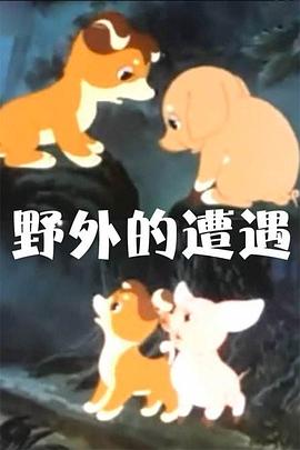 野外的遭遇 1955 电影 海报