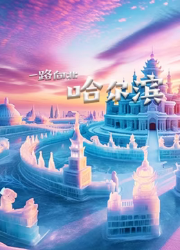 一路向北哈尔滨 2020 纪录片 海报