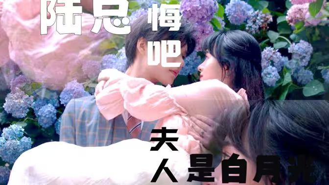 陆总忏悔吧，夫人才是白月光 2024 短剧 海报
