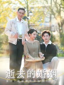 逝去的婚姻 2024 短剧 海报