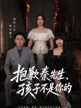 抱歉秦先生，孩子不是你的 2026 短剧 海报