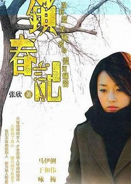 锁春记 2008 电视剧 海报