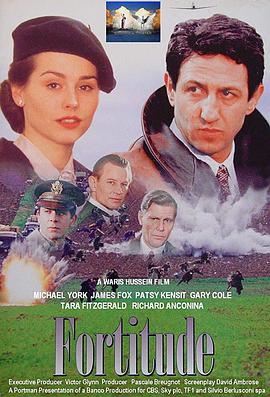烽火岁月 1994 电影 海报