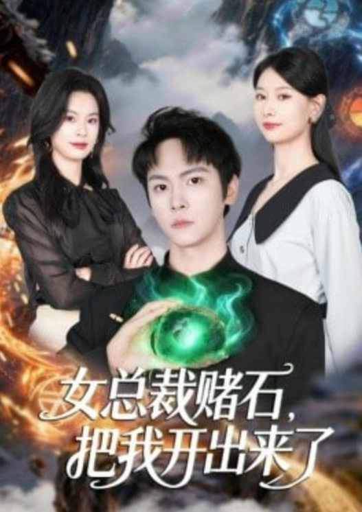女总栽赌石，把我开出来了 2026 短剧 海报
