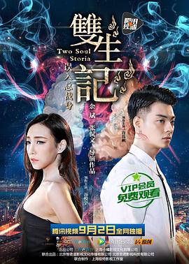 双生记之误入总裁身 2016 电影 海报