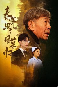 春晖照日暮归 2025 短剧 海报