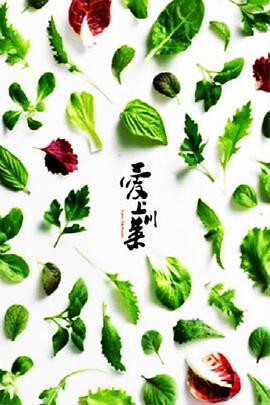 爱上川菜 2015 纪录片 海报