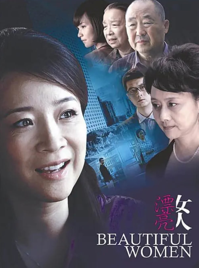 漂亮女人 2010 电视剧 海报