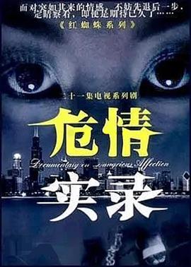 危情实录 2003 电视剧 海报