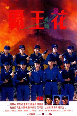 霸王花（粤语版） 1988 电影 海报