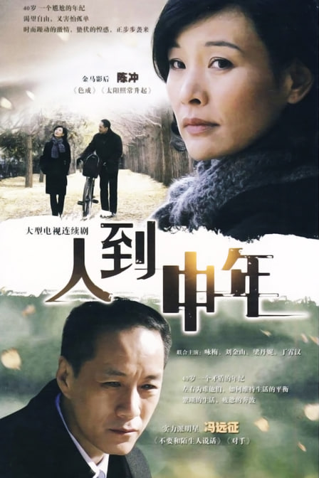 人到中年 2009 电视剧 海报