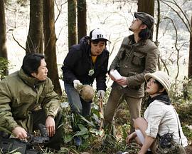 魔性之诱惑 2008 电影 海报