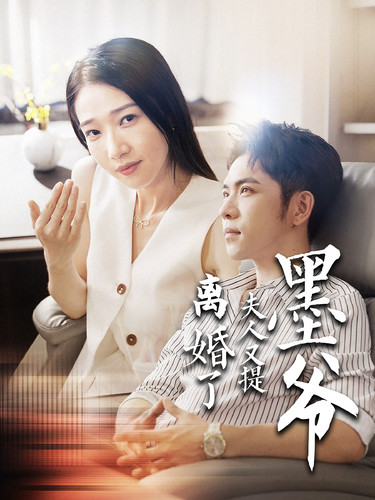 墨爷夫人又提离婚了 2024 短剧 海报