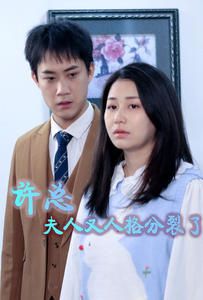 许总，夫人又人格分裂了 2024 短剧 海报