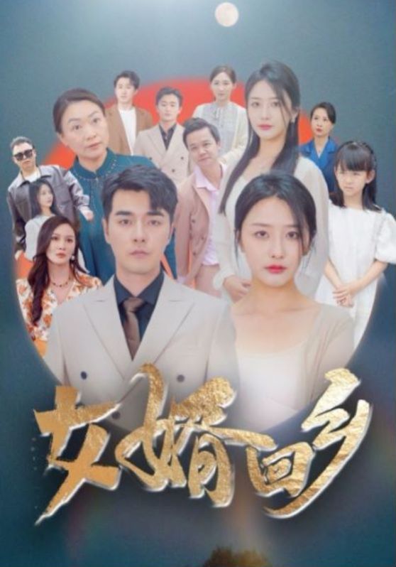 女婿回乡 2024 短剧 海报