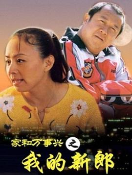 家和万事兴之我的新郎 2002 电视剧 海报