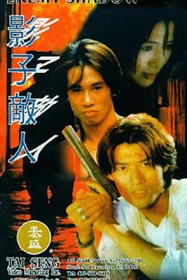 影子敌人（国语版） 1995 电影 海报