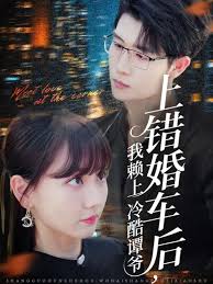上错婚车后我赖上冷酷谭爷 2025 短剧 海报