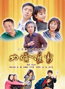 女婿难当 2010 电视剧 海报