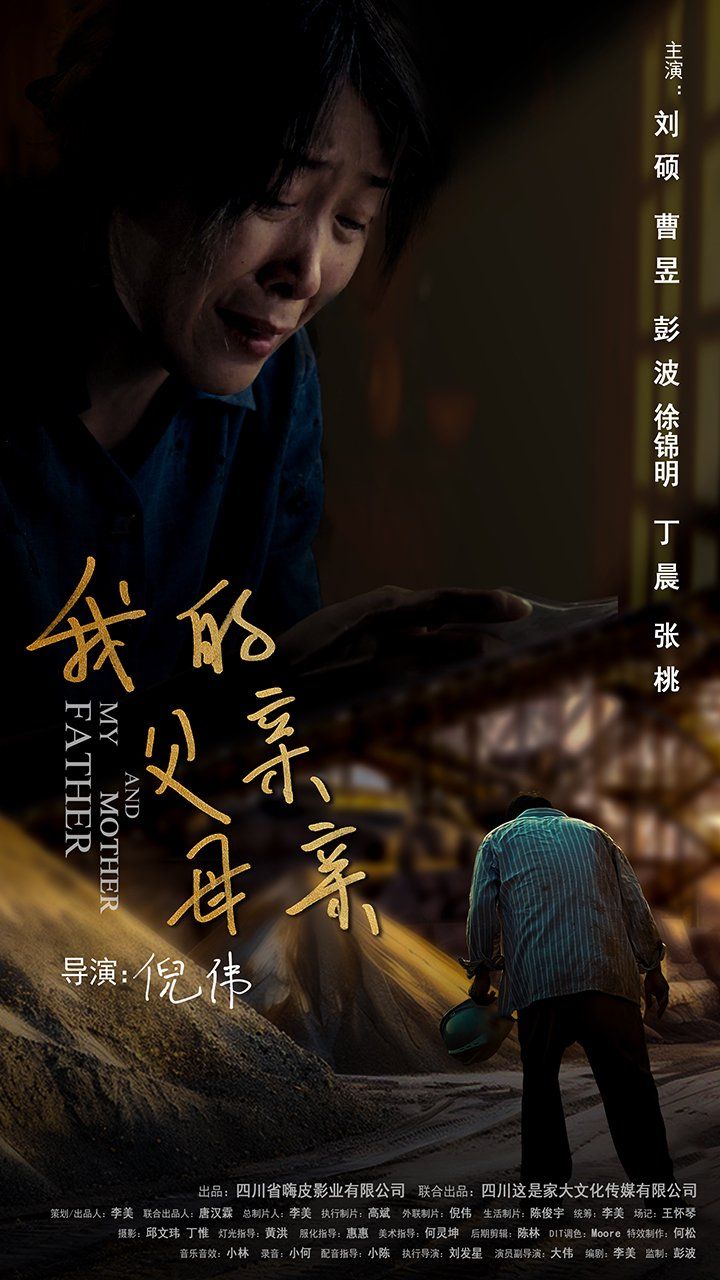 我的父亲母亲 2025 短剧 海报