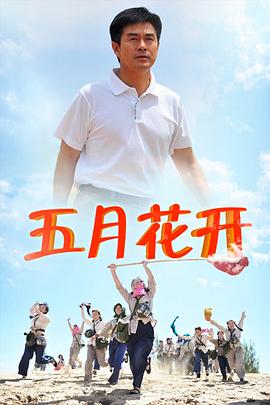沙漠情深之五月花开 2013 电视剧 海报