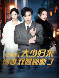 离婚后大少归来前妻双腿跪断了 2024 短剧 海报