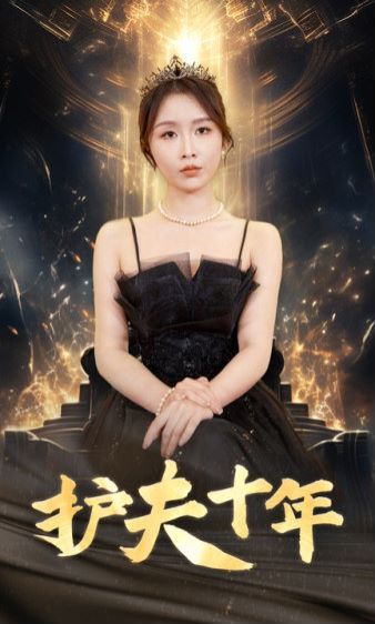 护夫十年 2024 短剧 海报