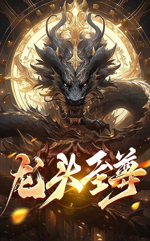 龙头至尊 2024 短剧 海报