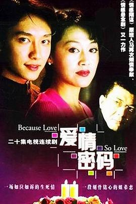 爱情密码 2001 电视剧 海报