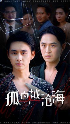 孤鸟越沧海 2025 短剧 海报