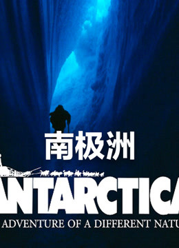 南极洲 2020 纪录片 海报