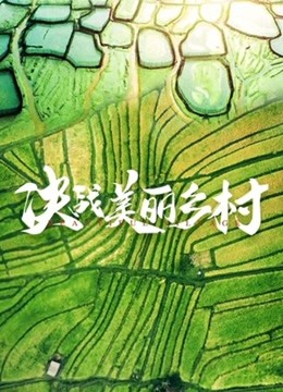 决战美丽乡村 2020 纪录片 海报