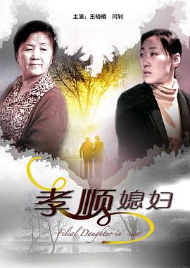 孝顺媳妇 2009 电影 海报