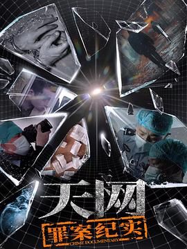 天网：罪案纪实 2025 纪录片 海报