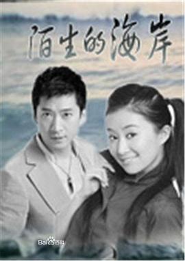 陌生的海岸 1994 电视剧 海报
