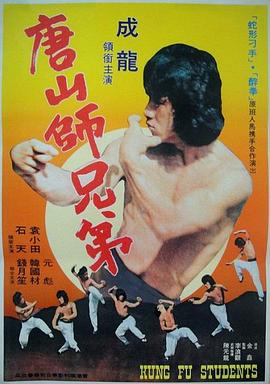 广东小老虎 1973 电影 海报